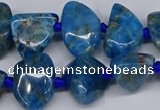 CAP532 15.5 inches 10*12mm - 16*22mm freeform apatite beads