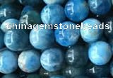 CAP577 15.5 inches 6mm round apatite beads wholesale