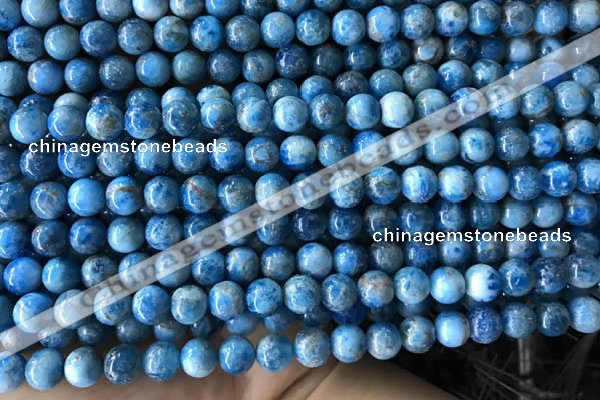 CAP583 15.5 inches 6mm round apatite gemstone beads