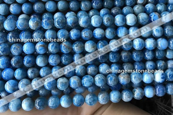 CAP584 15.5 inches 8mm round apatite gemstone beads