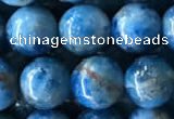 CAP585 15.5 inches 10mm round apatite beads wholesale