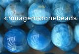 CAP590 15.5 inches 10mm round apatite beads wholesale