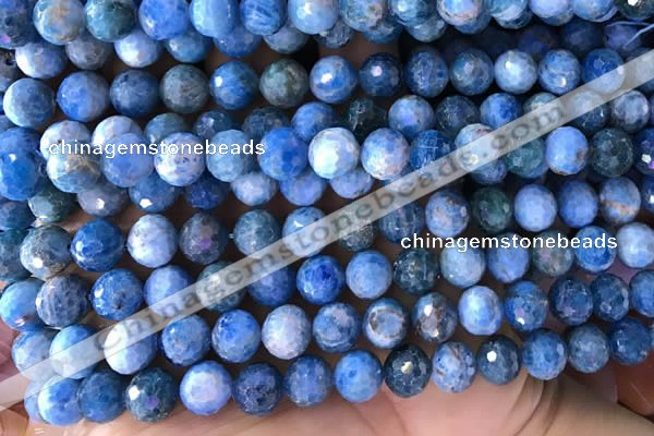 CAP595 15.5 inches 9mm faceted round apatite gemstone beads