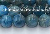 CAP630 15.5 inches 6mm round apatite beads wholesale