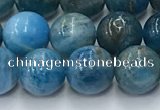 CAP631 15.5 inches 8mm round apatite beads wholesale