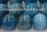 CAP632 15.5 inches 10mm round apatite beads wholesale