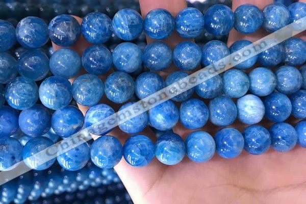 CAP639 15.5 inches 10mm round natural apatite gemstone beads