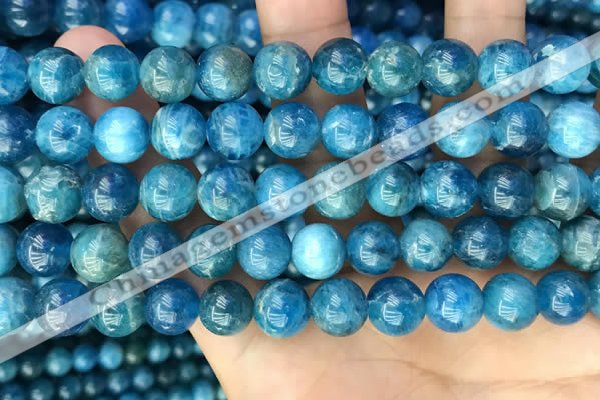 CAP653 15.5 inches 10mm round natural apatite beads wholesale