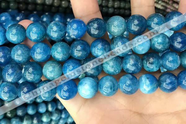 CAP654 15.5 inches 12mm round natural apatite beads wholesale