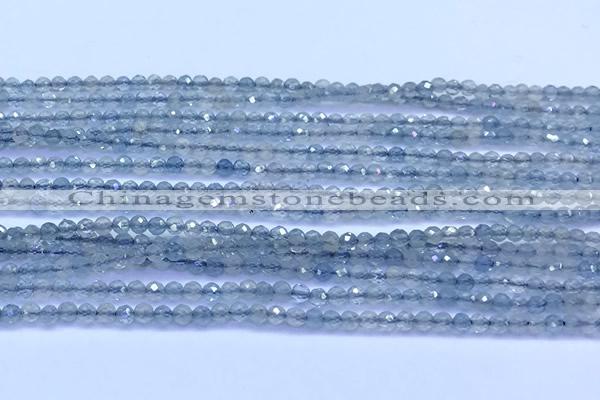 CAQ960 15 inches 2mm faceted round aquamarine beads