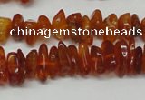 CAR115 16 inches 3*6mm - 4*8mm natural amber chips beads