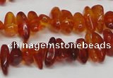 CAR116 16 inches 3*8mm - 4*10mm natural amber chips beads