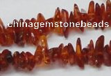 CAR117 16 inches 2*6mm - 3*10mm natural amber chips beads