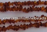 CAR201 24 inches 3*6mm natural amber chips beads wholesale