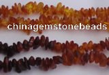 CAR202 24 inches 3*6mm natural amber chips beads wholesale