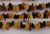 CAR204 24 inches 3*8mm natural amber chips beads wholesale