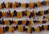 CAR205 32 inches 3*5mm natural amber chips beads wholesale