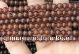 CAR231 15.5 inches 5mm - 5.5mm round natural amber beads wholesale