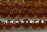 CAR526 15.5 inches 5mm - 6mm round natural amber beads wholesale