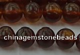 CAR528 15.5 inches 8mm - 9mm round natural amber beads wholesale