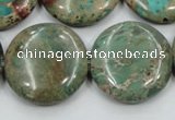 CAT07 15.5 inches 25mm flat round natural aqua terra jasper beads