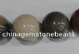 CAT5208 15.5 inches 20mm round aqua terra jasper beads wholesale