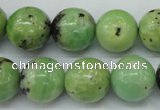 CAU215 15.5 inches 14mm round Australia chrysoprase beads