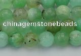 CAU402 15.5 inches 8mm round Australia chrysoprase beads