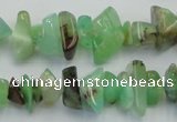 CAU407 15.5 inches 4*8mm - 6*14mm Australia chrysoprase chips beads