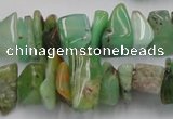 CAU408 15.5 inches 5*10mm - 10*15mm Australia chrysoprase chips beads