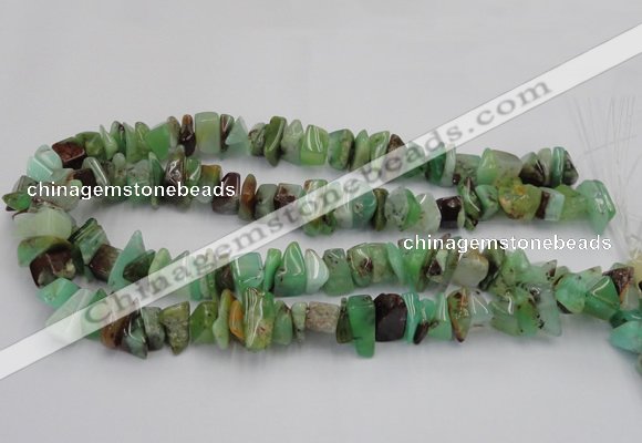 CAU408 15.5 inches 5*10mm - 10*15mm Australia chrysoprase chips beads