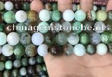 CAU438 15.5 inches 12mm round Australia chrysoprase beads wholesale