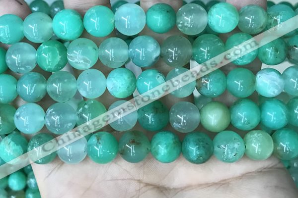 CAU445 15.5 inches 11mm round Australia chrysoprase beads