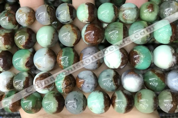 CAU458 15.5 inches 13mm - 14mm round Australia chrysoprase beads