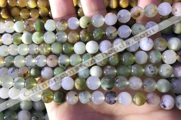 CAU461 15.5 inches 8mm round Australia chrysoprase beads