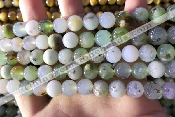 CAU462 15.5 inches 10mm round Australia chrysoprase beads