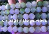 CAU475 15.5 inches 13mm round Australia chrysoprase beads