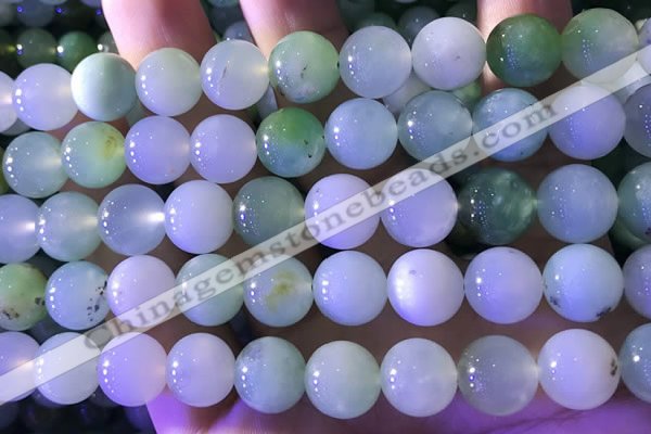 CAU475 15.5 inches 13mm round Australia chrysoprase beads