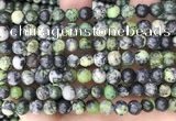 CAU522 15.5 inches 7mm round Chinese chrysoprase beads