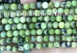 CAU530 15.5 inches 6mm round Chinese chrysoprase beads wholesale