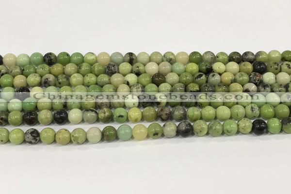 CAU535 15.5 inches 6mm round Australia chrysoprase gemstone beads