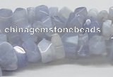 CBC06 15.5 inches 12mm blue chalcedony chips beads wholesale