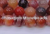 CBC403 15.5 inches 10mm A grade round orange chalcedony beads