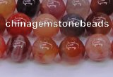 CBC404 15.5 inches 12mm A grade round orange chalcedony beads