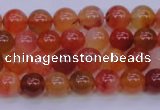 CBC410 15.5 inches 4mm AA grade round orange chalcedony beads