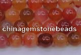 CBC412 15.5 inches 8mm AA grade round orange chalcedony beads