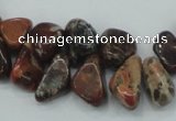 CBD16 15.5 inches 8*12mm chip brecciated jasper gemstone beads