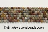 CBJ740 15.5 inches 6mm round petrified wood jade gemstone beads wholesale