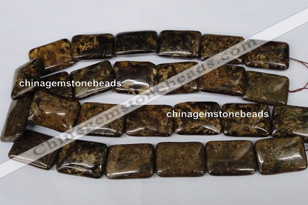 CBZ424 15.5 inches 22*30mm rectangle bronzite gemstone beads