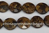 CBZ431 15.5 inches 15mm faceted coin bronzite gemstone beads